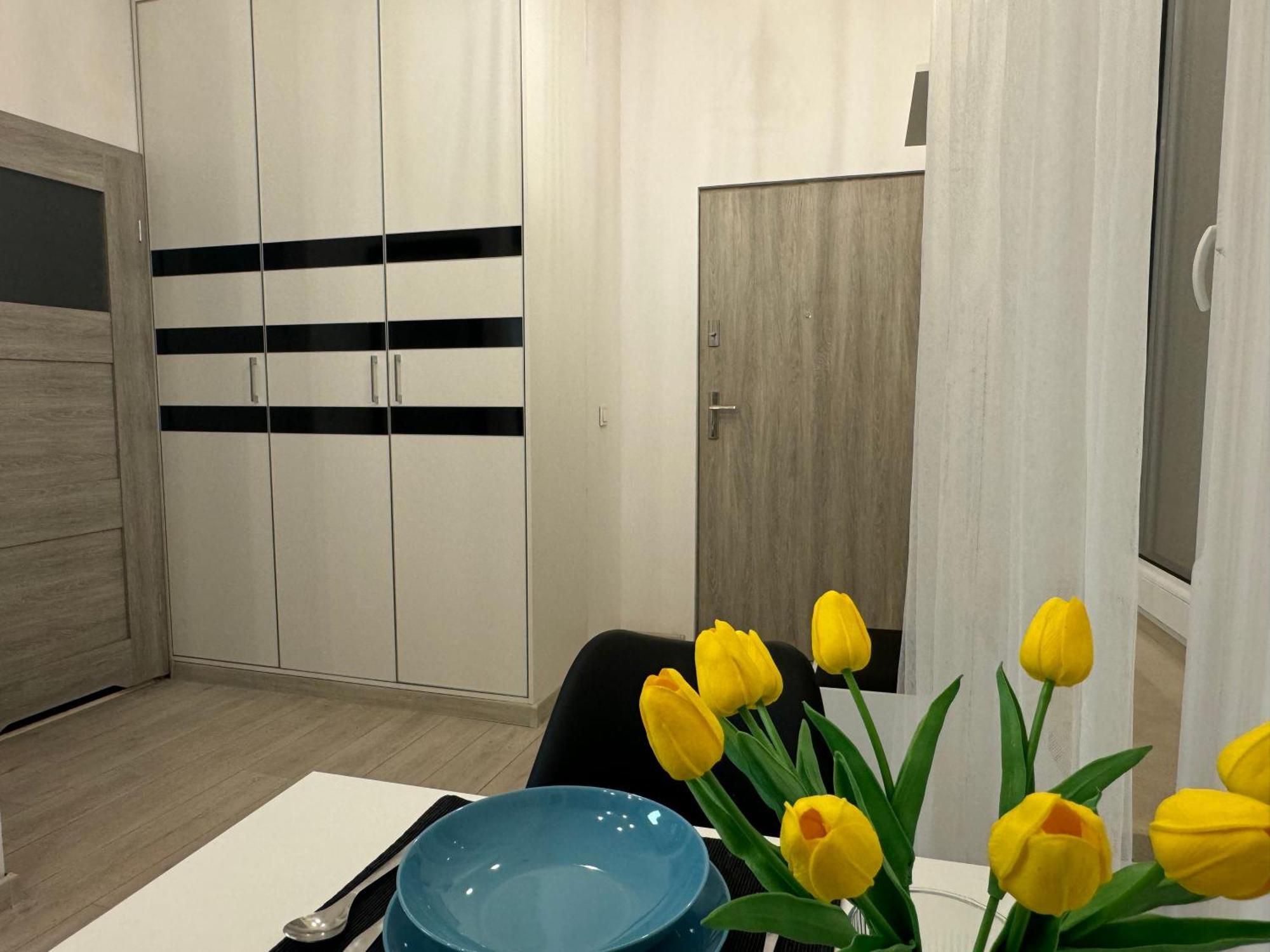 Salwator Loft Διαμέρισμα Krasków Εξωτερικό φωτογραφία